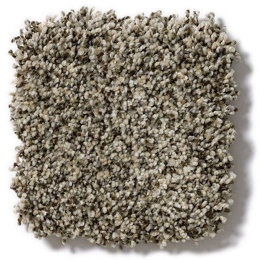 Pet Perfect Mollie's Turn Slate Escape 00224