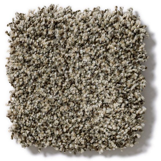 Pet Perfect Mollie's Turn Slate Escape 00224