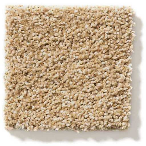 Ocean View Farro 00237