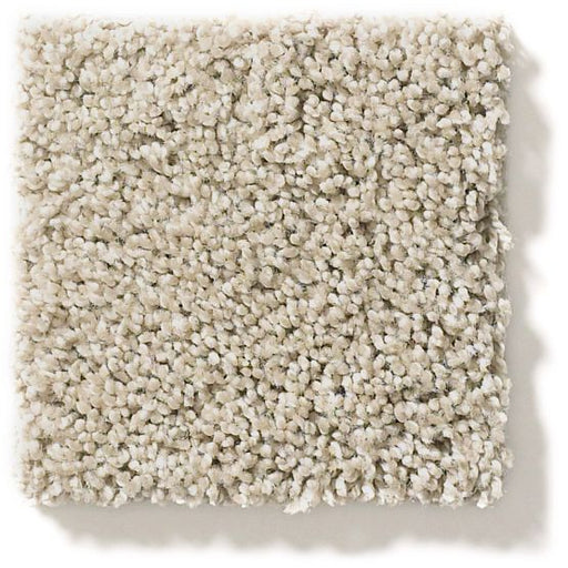 Ocean View Shale 00512