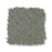 Mosaic Pine Forest 00314