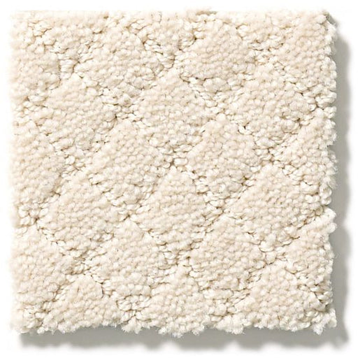Pet Perfect Pawnache Capri Coast 00181