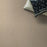 Pet Perfect Pawnache Toffee Cream 12 ft x 150 ft
