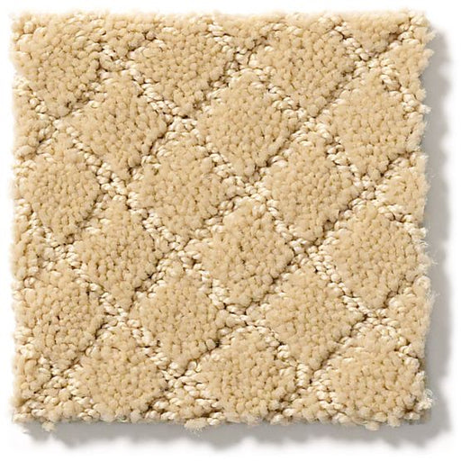 Pet Perfect Pawnache Cork 00223