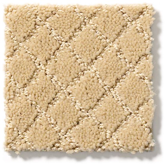 Pet Perfect Pawnache Cork 00223