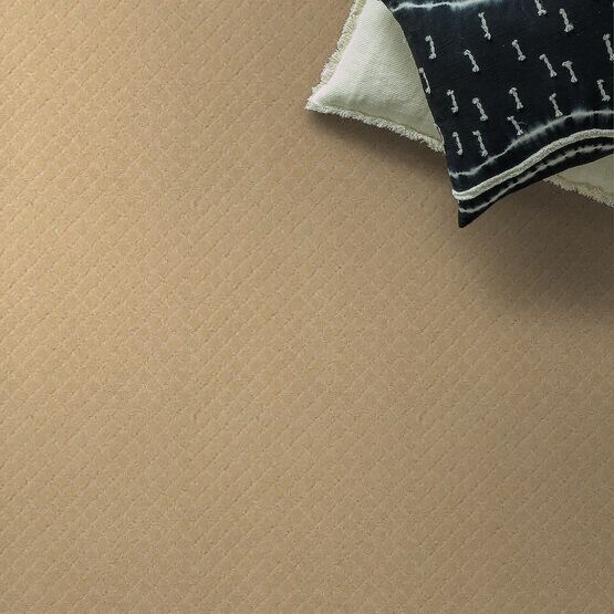 Pet Perfect Pawnache Cork 12 ft x 150 ft