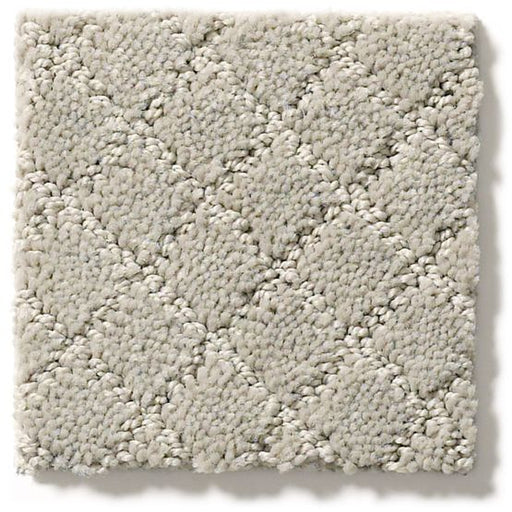 Pet Perfect Pawnache Silver Fox 00511