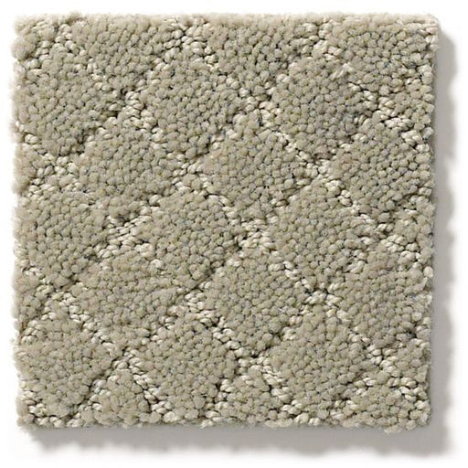 Pet Perfect Pawnache Gray Mirage 00533