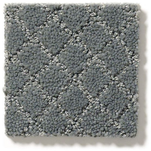 Pet Perfect Pawnache Steel Wool 00545