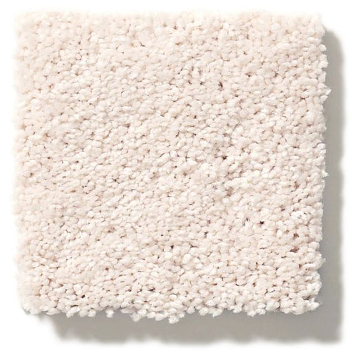 Pet Perfect Pawparazzi II Barely Beige 00111