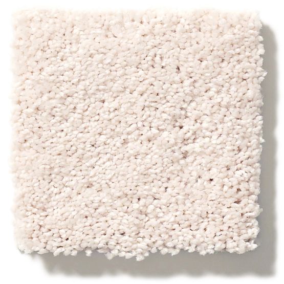 Pet Perfect Pawparazzi II Barely Beige 00111