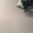 Pet Perfect Pawparazzi II Barely Beige 12 ft x 125 ft