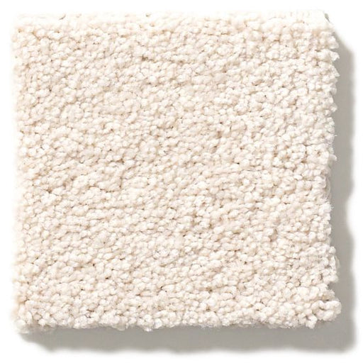 Pet Perfect Pawparazzi II Capri Coast 00181