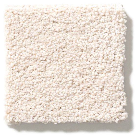 Pet Perfect Pawparazzi II Capri Coast 00181