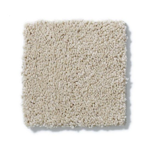 Pet Perfect Pawparazzi II Toffee Cream 00183
