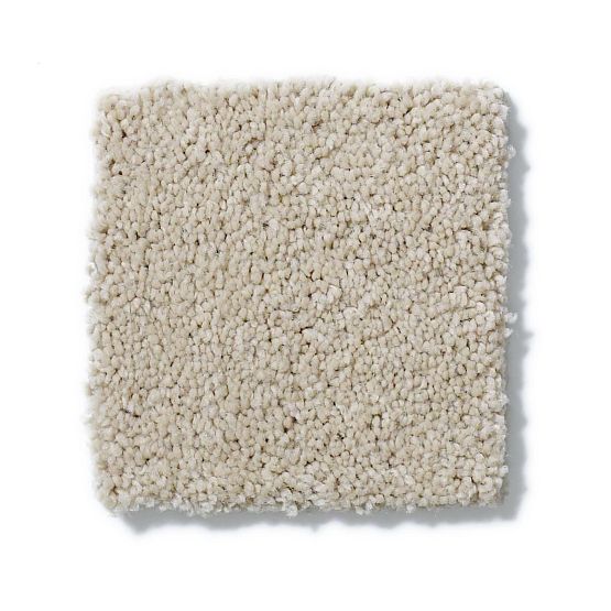 Pet Perfect Pawparazzi II Toffee Cream 00183