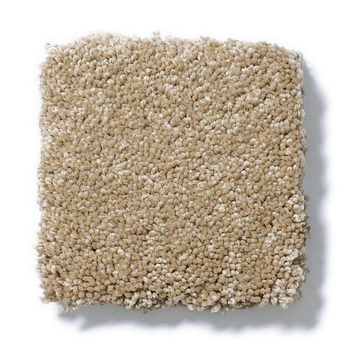 Pet Perfect Pawparazzi II Peanut Shell 00186