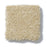 Pet Perfect Pawparazzi II Cork 00223