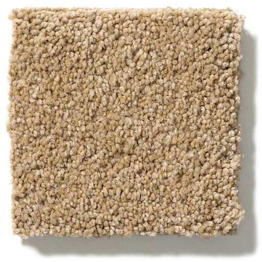 Pet Perfect Pawparazzi II Golden Straw 00224