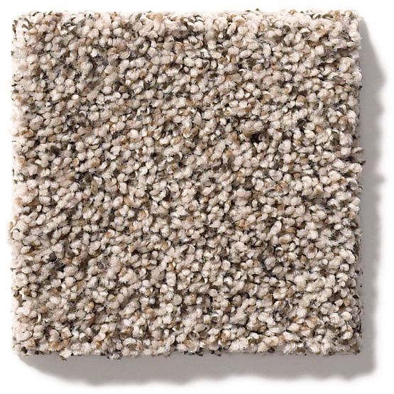 Anderson Tuftex Monarch 0753B Hillside Textured Nylon Carpet — Stone ...