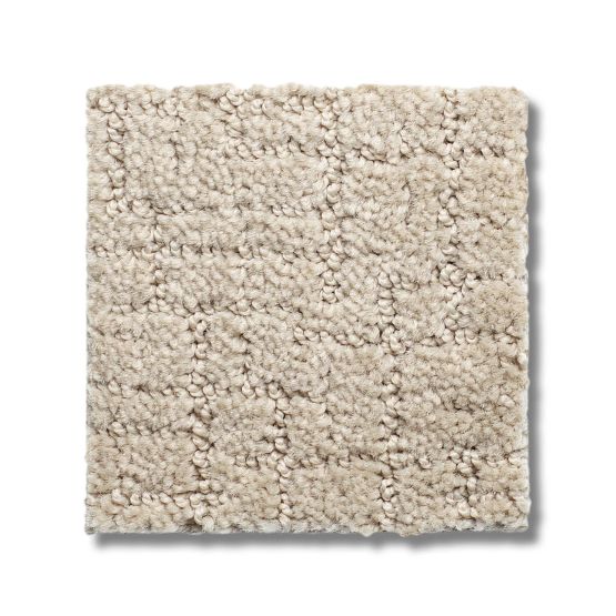 Anderson Tuftex Classics One More Hour 00112 Silk Pattern Nylon Carpet ...