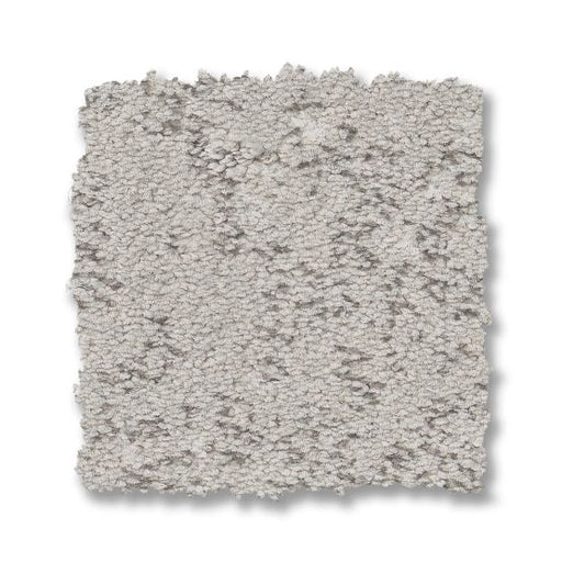 Fancy That Gray Owl 00551