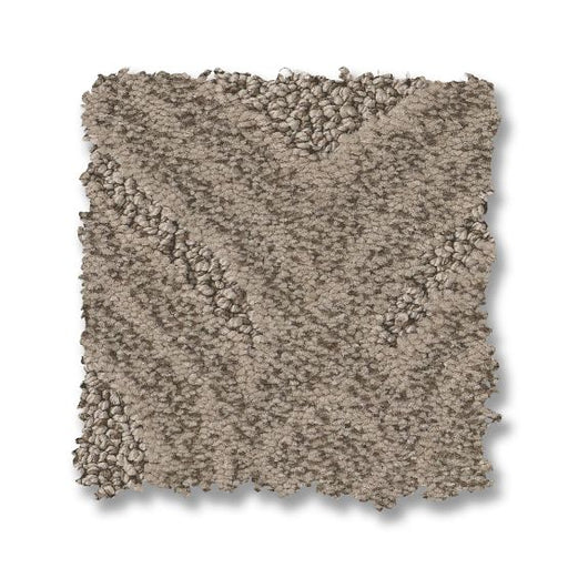 Expressive Toasty Gray 00573