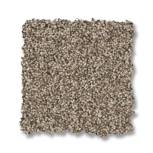 Fabulous Chic Taupe 00753