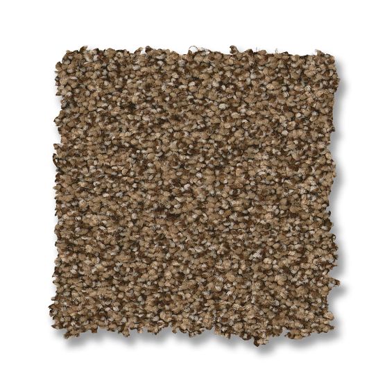 Anderson Tuftex Fabulous 00775 Nutshell Textured Nylon Carpet — Stone ...