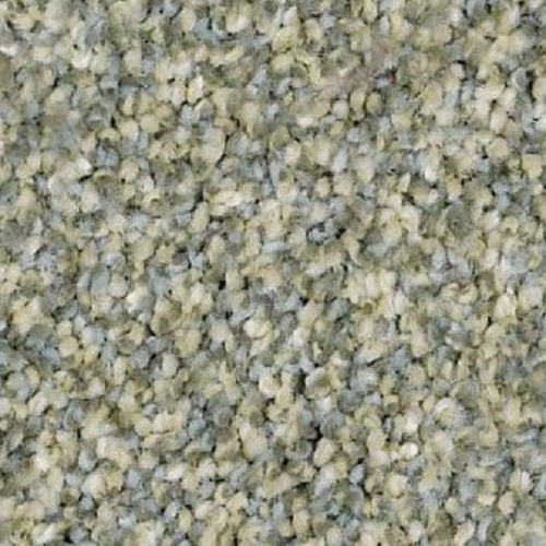 Anderson Tuftex Hollister 00320 Pacific Beach Textured Nylon Carpet