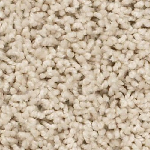 Morro Coast Brushed Ivory 00111