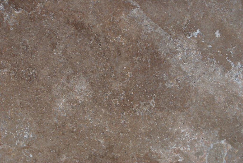 Full Tile Sample - Anthill Travertine Tile - 24" x 24" x 3/8" Honed