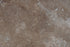 Full Tile Sample - Anthill Travertine Tile - 24" x 24" x 3/8" Honed