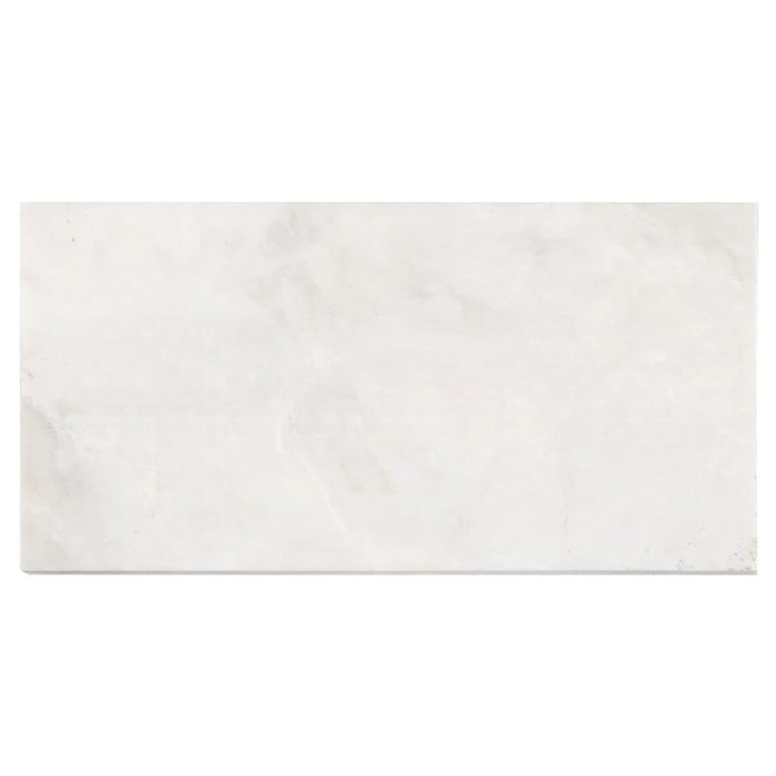 Bianco Congelato Dolomite Tile - Leather