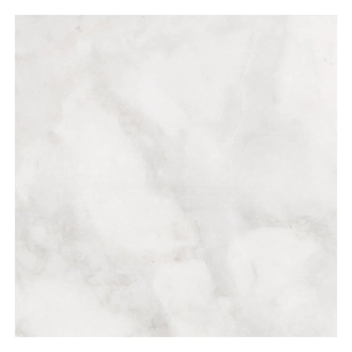 Full Tile Sample - Bianco Congelato Dolomite Tile - 6" x 12" x 3/8" Leather