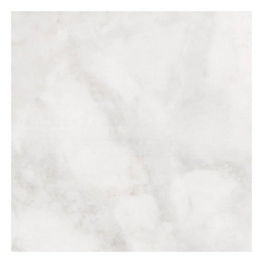 Full Tile Sample - Bianco Congelato Dolomite Tile - 12" x 24" x 3/8" Leather