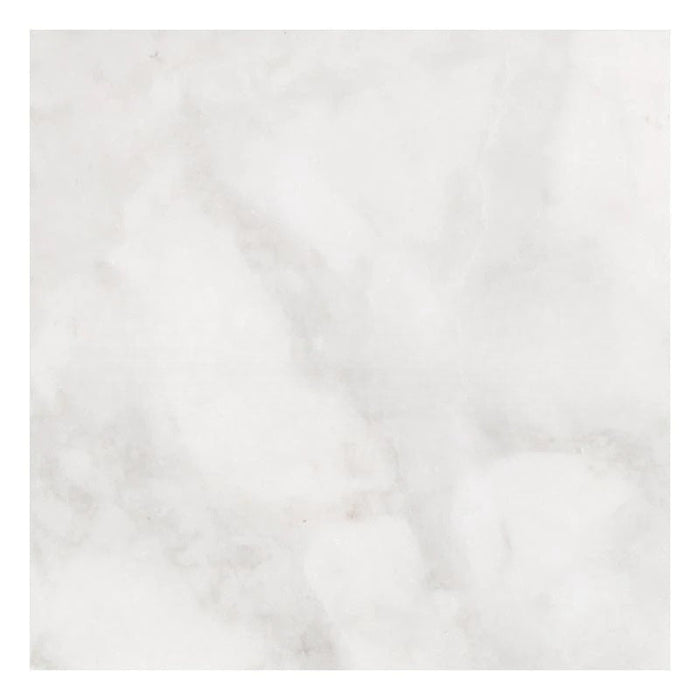 Full Tile Sample - Bianco Congelato Dolomite Tile - 2" x 8" x 3/8" Leather