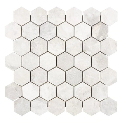 Bianco Congelato Dolomite Mosaic - 2" Hexagon Leather