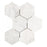 Bianco Congelato Dolomite Mosaic - 4" Hexagon Leather