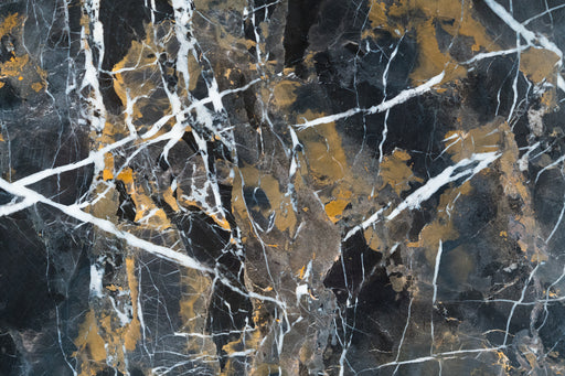 Full Tile Sample - Black & Gold Marble Tile - 12" x 12" x 3/8" Polished