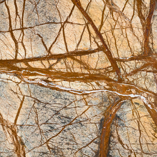 Cafe Forest Marble Tile - 12" x 12" x 3/8" Polished