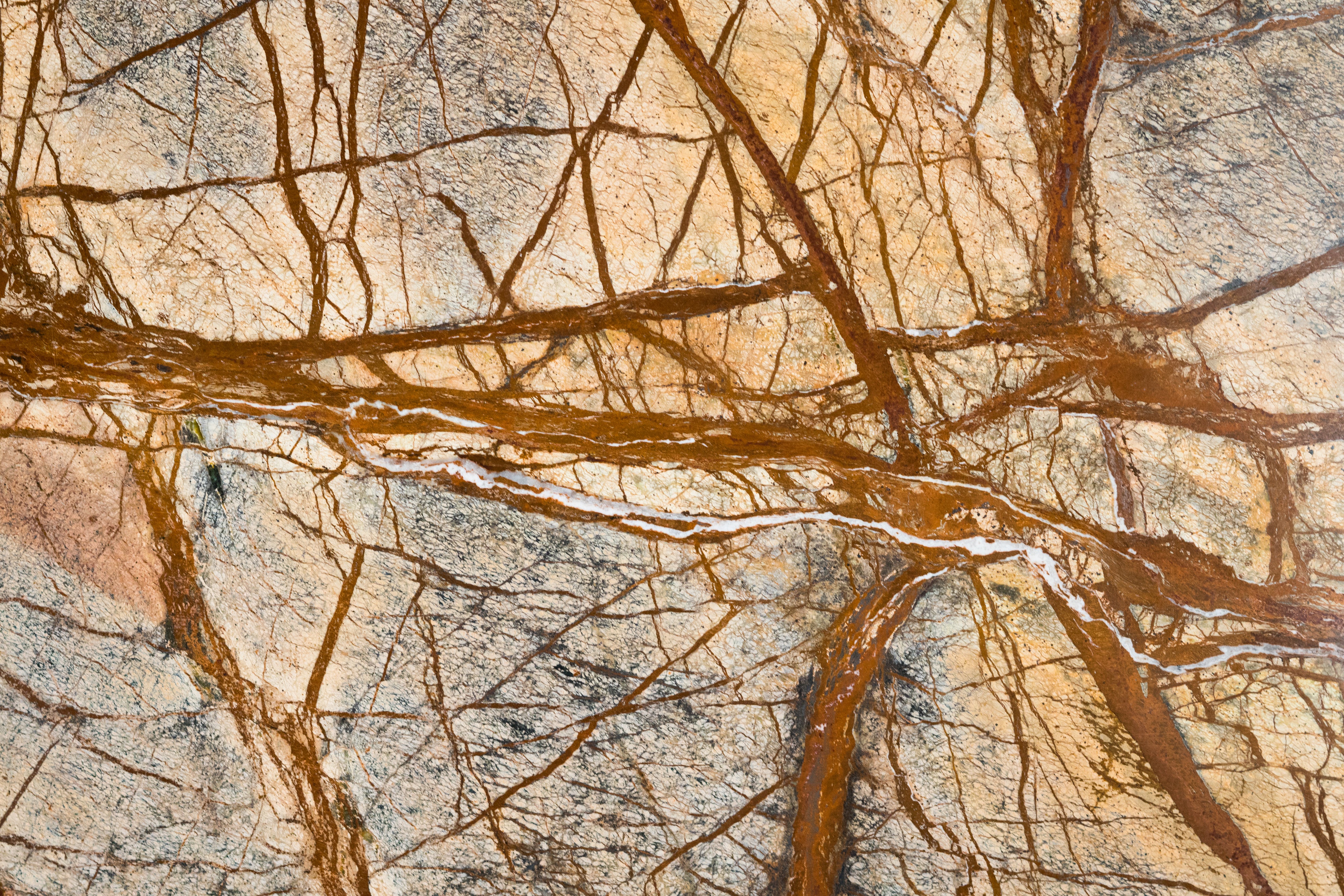 Cafe Forest Marble Tile - Polished | Stone & Tile Shoppe