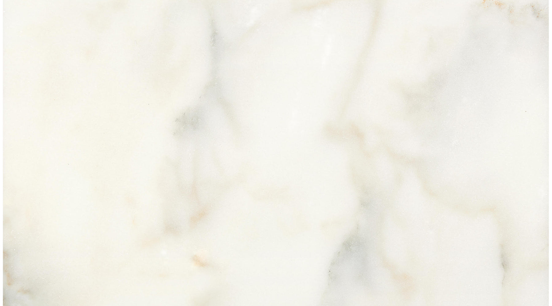 Calacatta Oliva Marble Tile - Honed