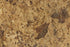 Carioca Gold Slate Tile - 12" x 24" x 5/8" Natural Cleft Face, Gauged Back