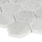 Carrara White Marble SMOT-CAR-2HEXP