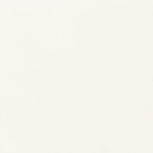 Color Wheel Classic White 0100