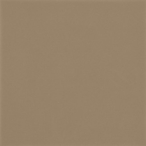 Color Wheel Classic Elemental Tan 0766