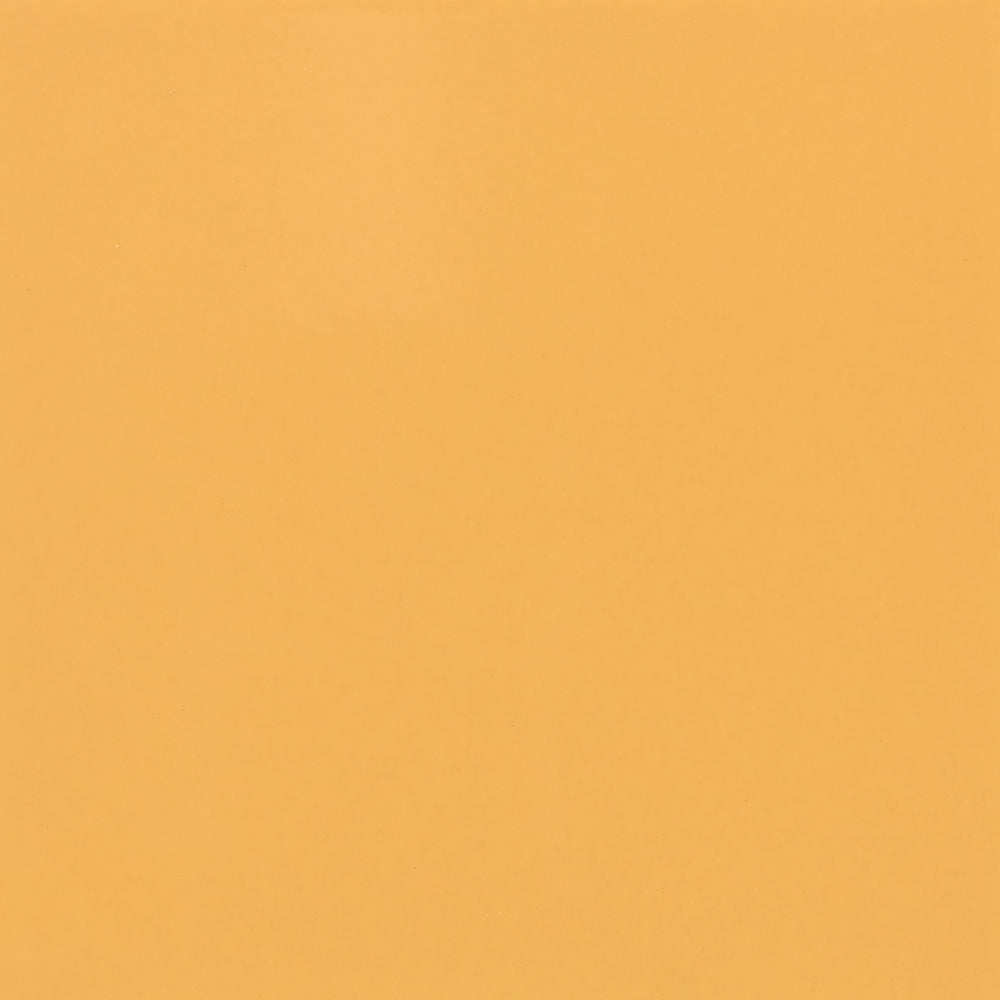 Color Wheel Classic Mustard 1012