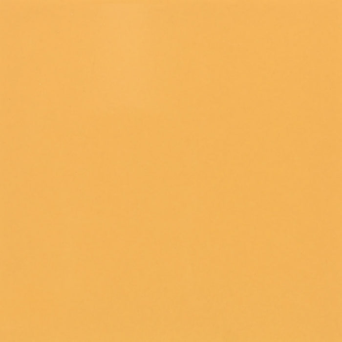Color Wheel Classic Mustard 1012