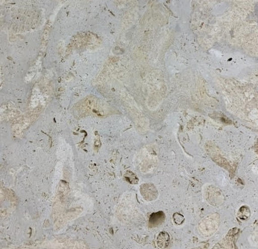 Coral Stone Shellstone Tile - Unfilled & Sawcut 